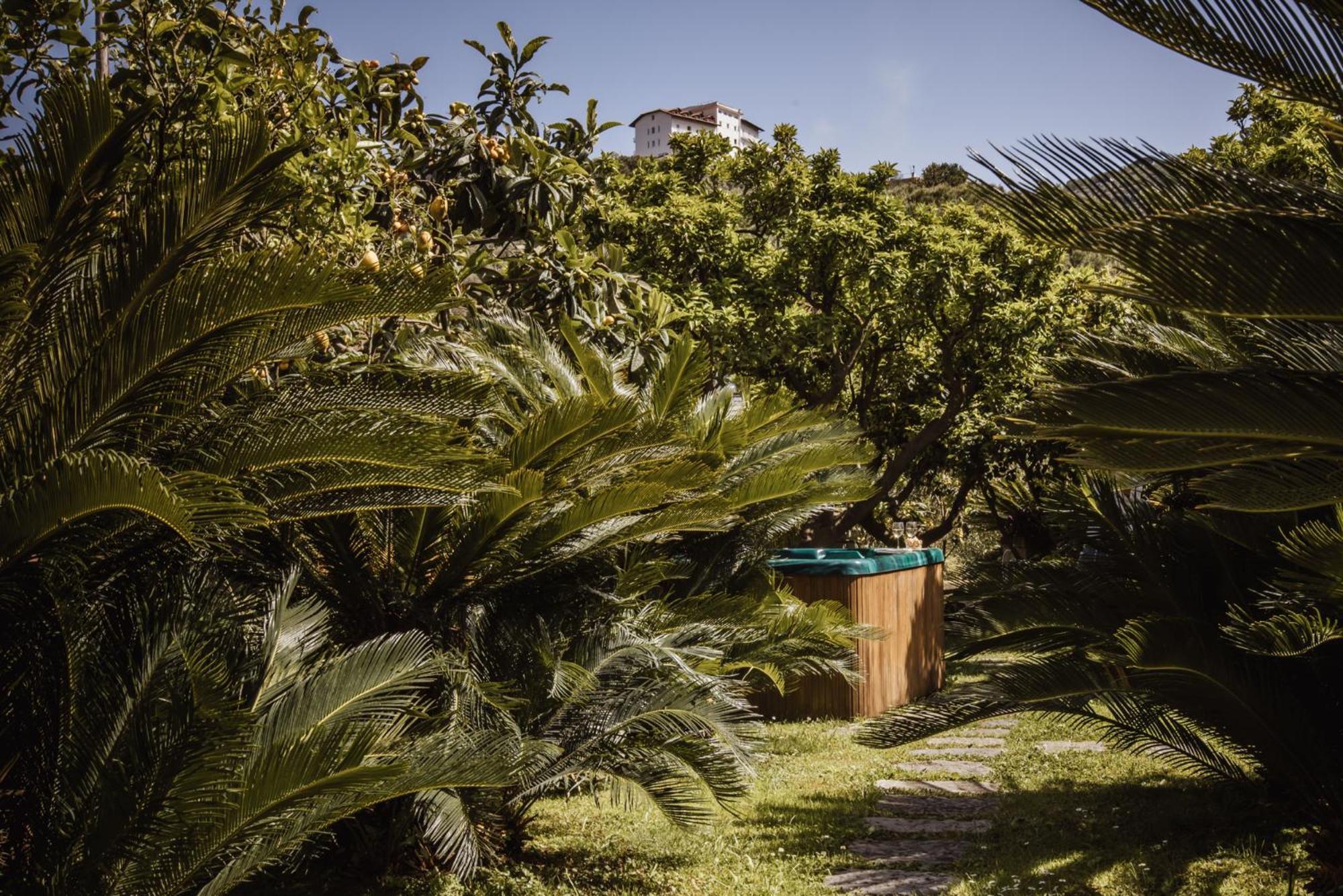 Villa Gallone Σορέντο Εξωτερικό φωτογραφία
